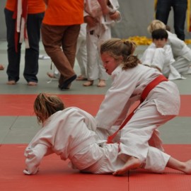 DSC 0524  Small - Judoclub Zaventem 